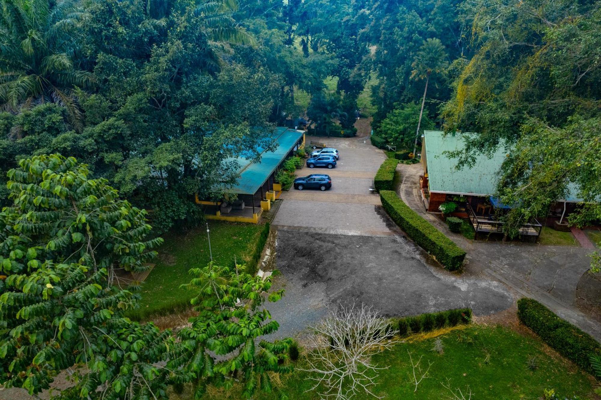 Hotel Villa Florencia トゥリアルバ エクステリア 写真