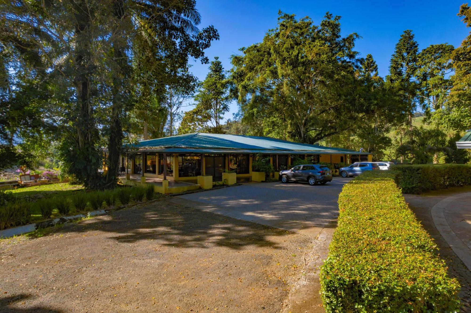 Hotel Villa Florencia トゥリアルバ エクステリア 写真